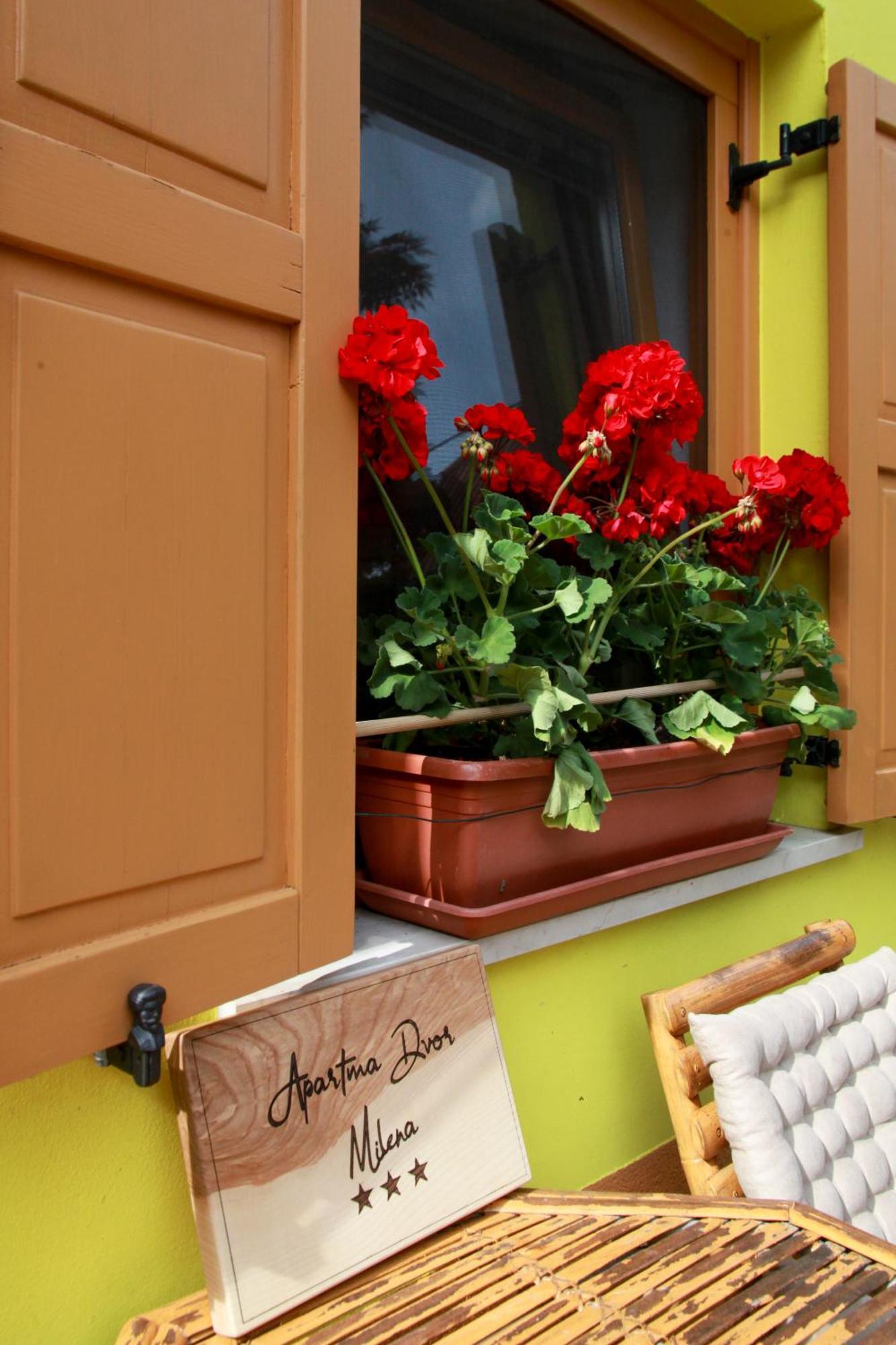 Apartma Dvor Milena Bovec Extérieur photo
